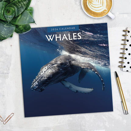 Whales 2026 Premium Square Wall Calendar