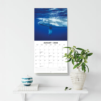 Whales 2026 Premium Square Wall Calendar