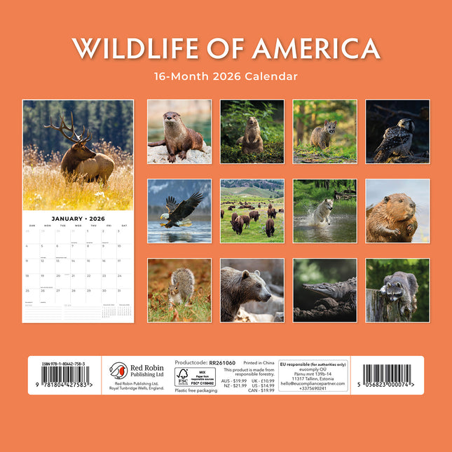 Wildlife Of America 2026 Premium Square Wall Calendar