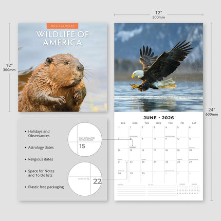 Wildlife Of America 2026 Premium Square Wall Calendar