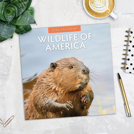 Wildlife Of America 2026 Premium Square Wall Calendar