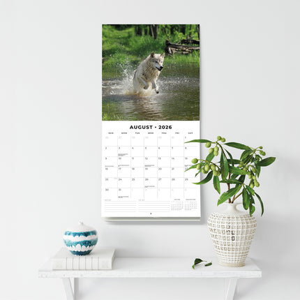 Wildlife Of America 2026 Premium Square Wall Calendar