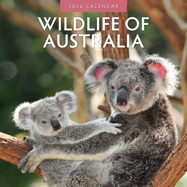 Wildlife Of Australia 2026 Premium Square Wall Calendar