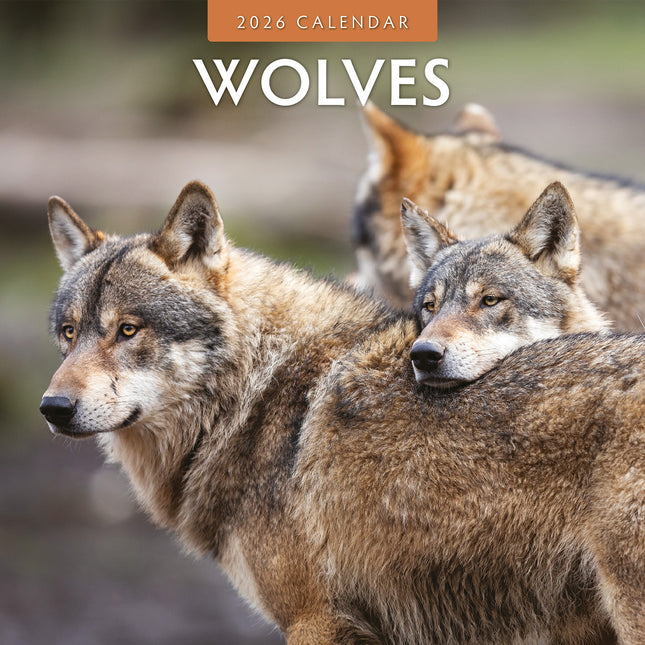 Wolves 2026 Premium Square Wall Calendar