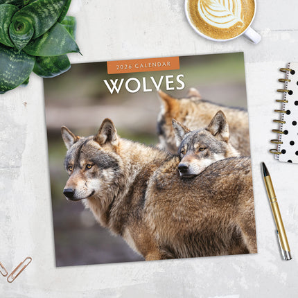 Wolves 2026 Premium Square Wall Calendar