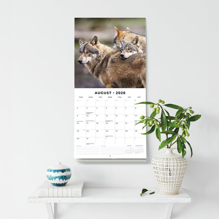 Wolves 2026 Premium Square Wall Calendar