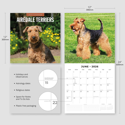 Airedale Terriers 2026 Premium Square Wall Calendar