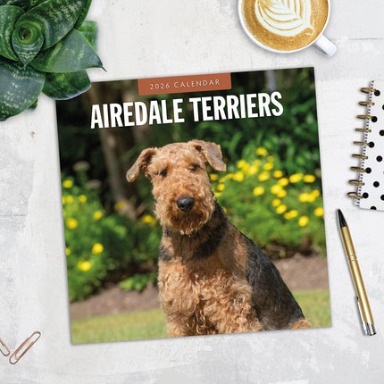 Airedale Terriers 2026 Premium Square Wall Calendar