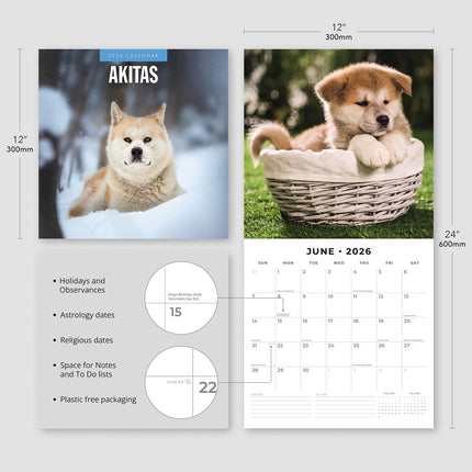 Akitas 2026 Premium Square Wall Calendar