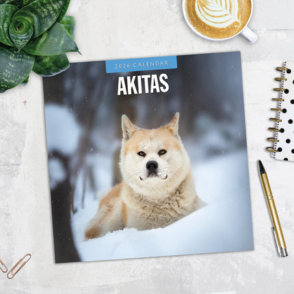 Akitas 2026 Premium Square Wall Calendar