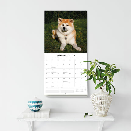 Akitas 2026 Premium Square Wall Calendar