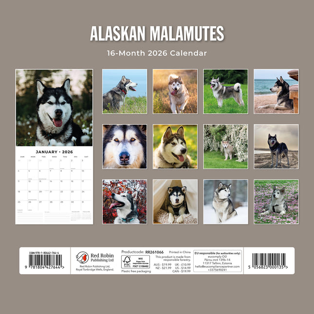Alaskan Malamutes 2026 Premium Square Wall Calendar