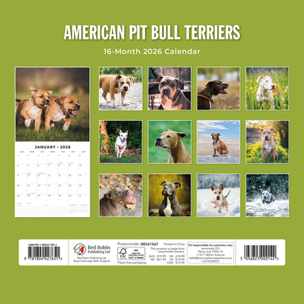American Pit Bull Terriers 2026 Premium Square Wall Calendar