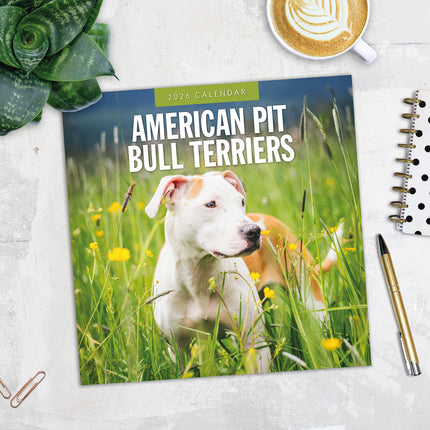 American Pit Bull Terriers 2026 Premium Square Wall Calendar