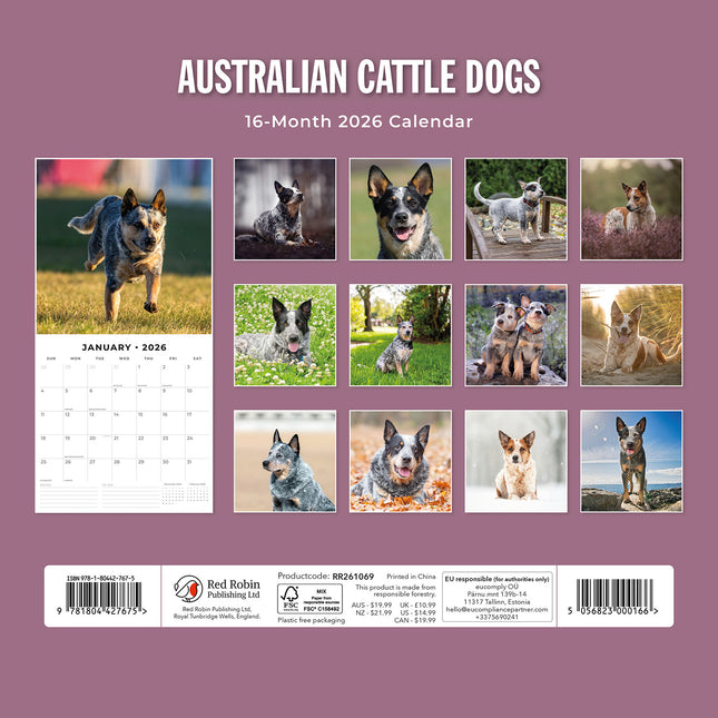 Australian Cattle Dogs 2026 Premium Square Wall Calendar