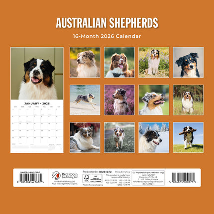 Australian Shepherds 2026 Premium Square Wall Calendar