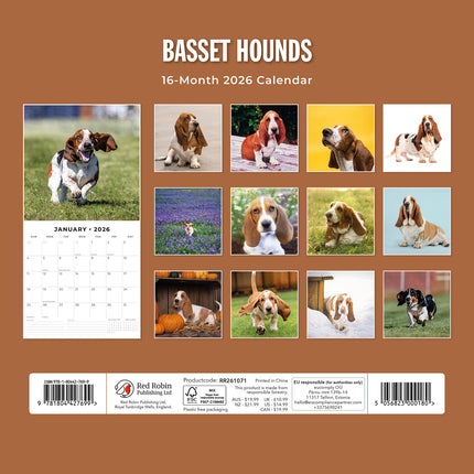 Basset Hounds 2026 Premium Square Wall Calendar