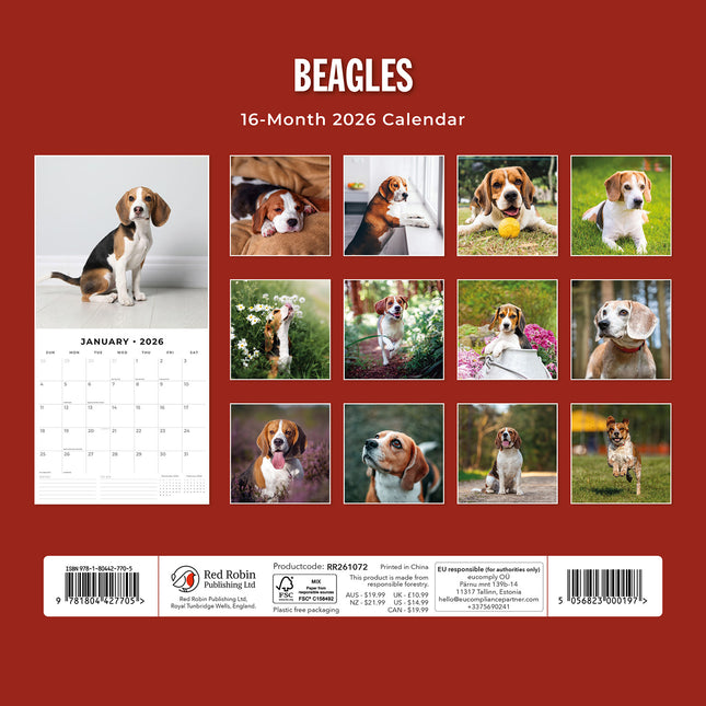 Beagles 2026 Premium Square Wall Calendar