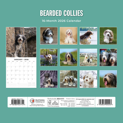 Bearded Collies 2026 Premium Square Wall Calendar