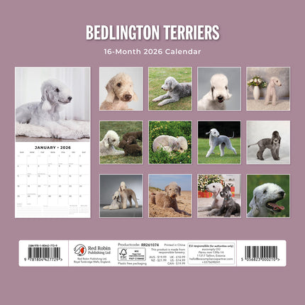 Bedlington Terriers 2026 Premium Square Wall Calendar