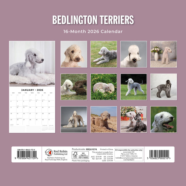 Bedlington Terriers 2026 Premium Square Wall Calendar