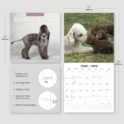 Bedlington Terriers 2026 Premium Square Wall Calendar