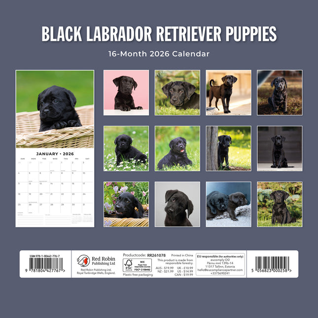 Black Labrador Retriever Puppies 2026 Premium Square Wall Calendar