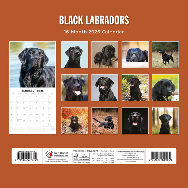Black Labradors 2026 Premium Square Wall Calendar