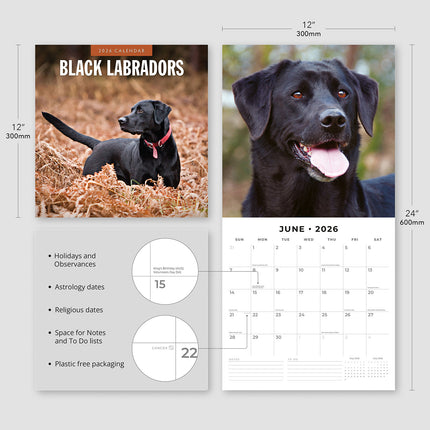 Black Labradors 2026 Premium Square Wall Calendar