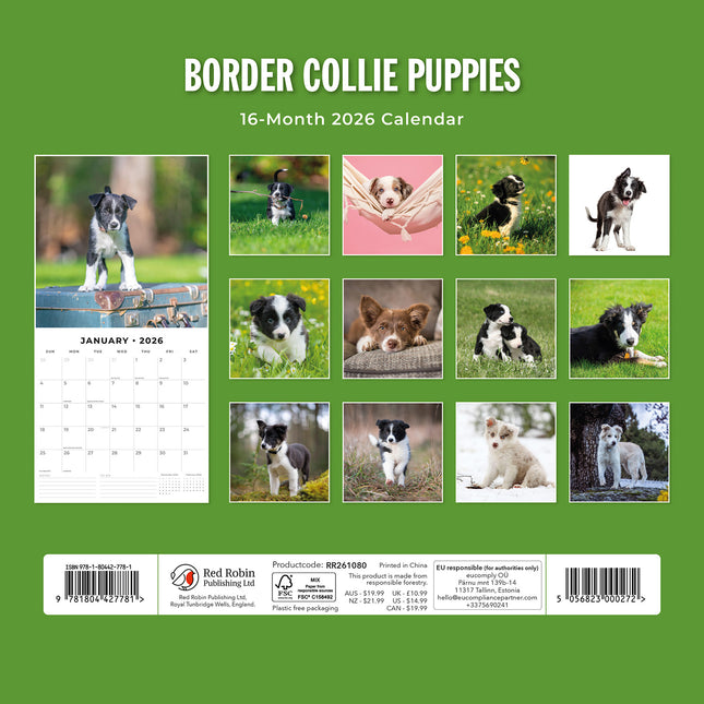 Border Collie Puppies 2026 Premium Square Wall Calendar