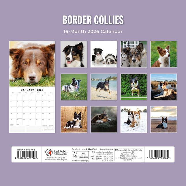 Border Collies 2026 Premium Square Wall Calendar