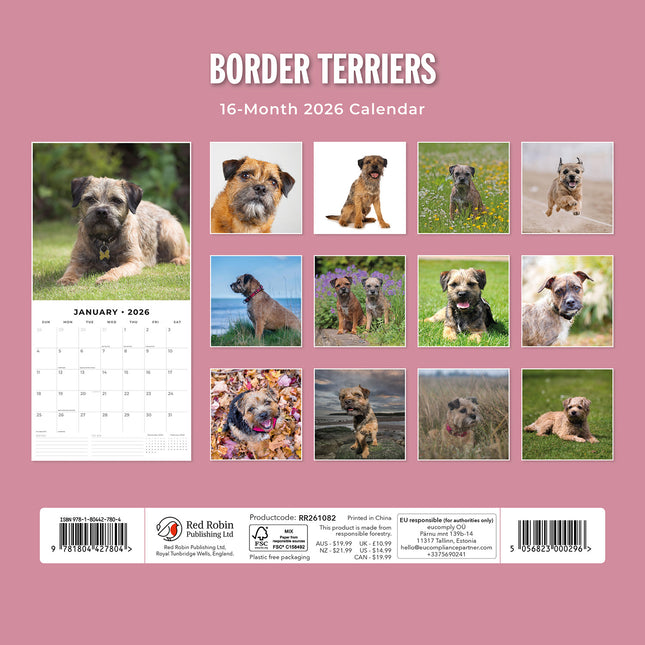 Border Terriers 2026 Premium Square Wall Calendar