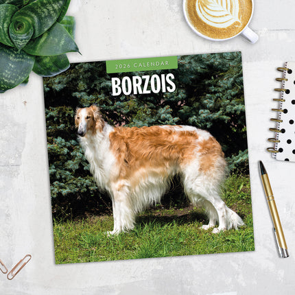 Borzois 2026 Premium Square Wall Calendar
