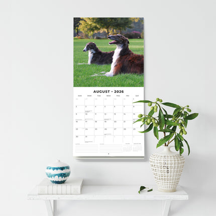 Borzois 2026 Premium Square Wall Calendar