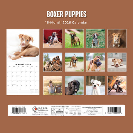 Boxer Puppies 2026 Premium Square Wall Calendar