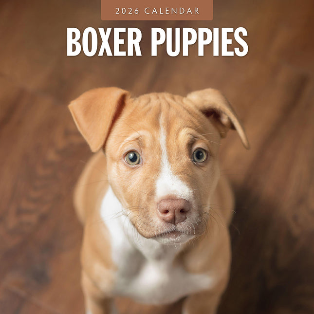Boxer Puppies 2026 Premium Square Wall Calendar