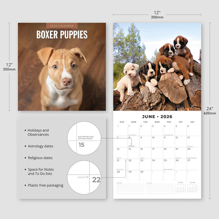 Boxer Puppies 2026 Premium Square Wall Calendar