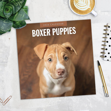 Boxer Puppies 2026 Premium Square Wall Calendar