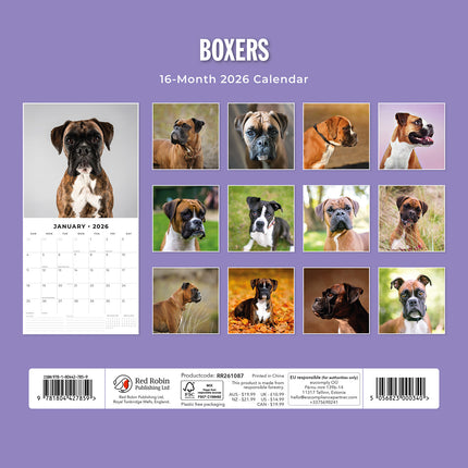 Boxers 2026 Premium Square Wall Calendar