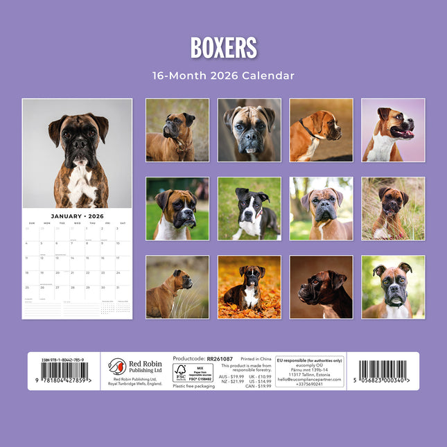 Boxers 2026 Premium Square Wall Calendar