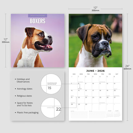 Boxers 2026 Premium Square Wall Calendar