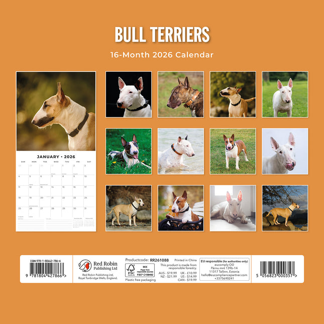 Bull Terriers 2026 Premium Square Wall Calendar