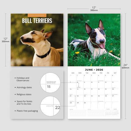 Bull Terriers 2026 Premium Square Wall Calendar
