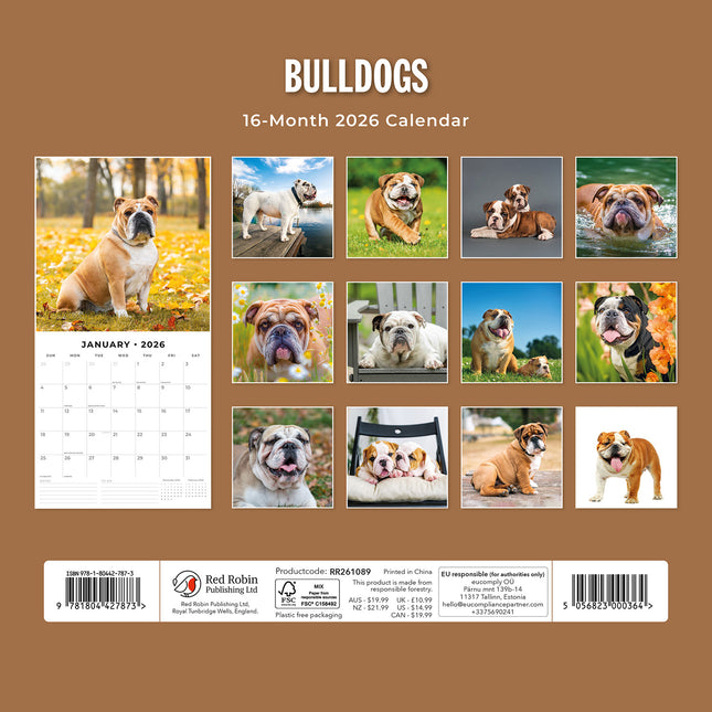Bulldogs 2026 Premium Square Wall Calendar