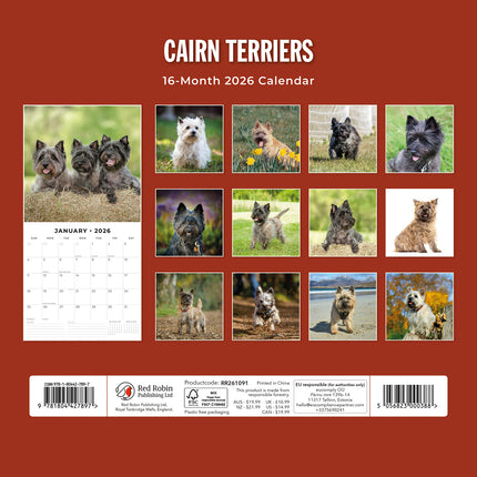 Cairn Terriers 2026 Premium Square Wall Calendar