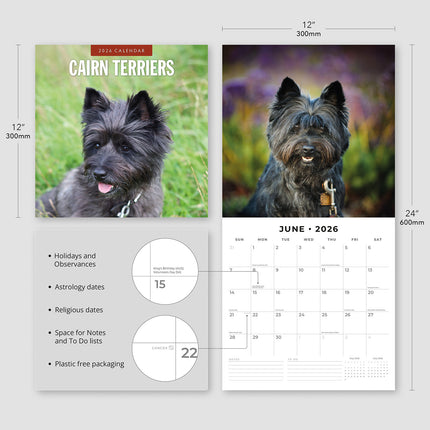 Cairn Terriers 2026 Premium Square Wall Calendar