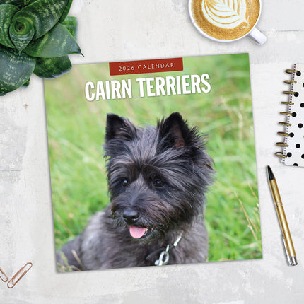 Cairn Terriers 2026 Premium Square Wall Calendar