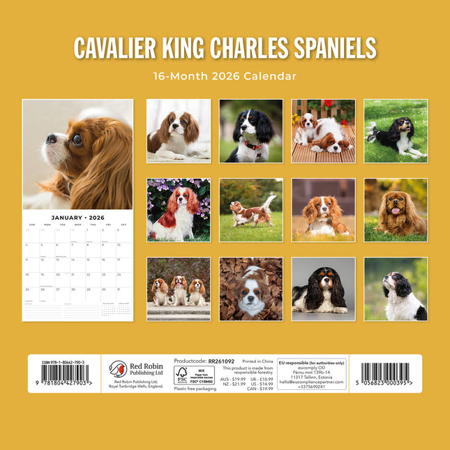 Cavalier King Charles Spaniels 2026 Premium Square Wall Calendar