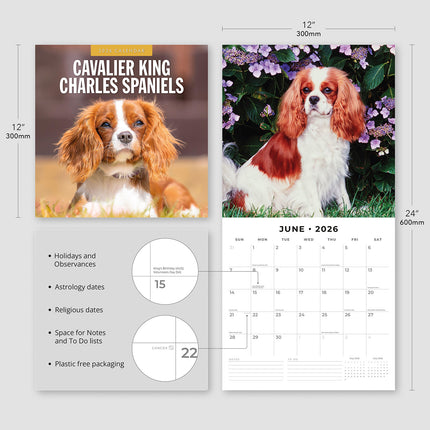 Cavalier King Charles Spaniels 2026 Premium Square Wall Calendar