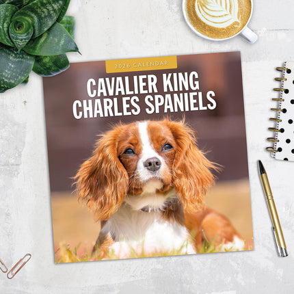 Cavalier King Charles Spaniels 2026 Premium Square Wall Calendar
